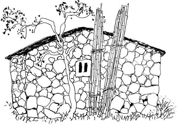 《山河故人》:风物人心皆故乡_生活_天台山_少年时