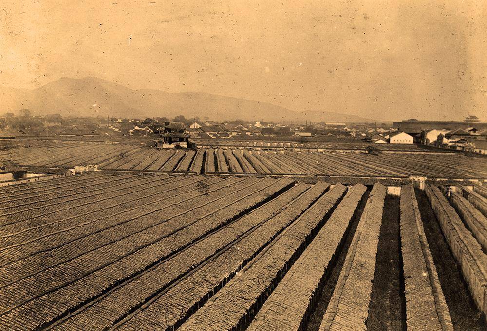 老照片:1913年南京江南贡院全景,明孝陵四方城神功圣德碑亭_上新河