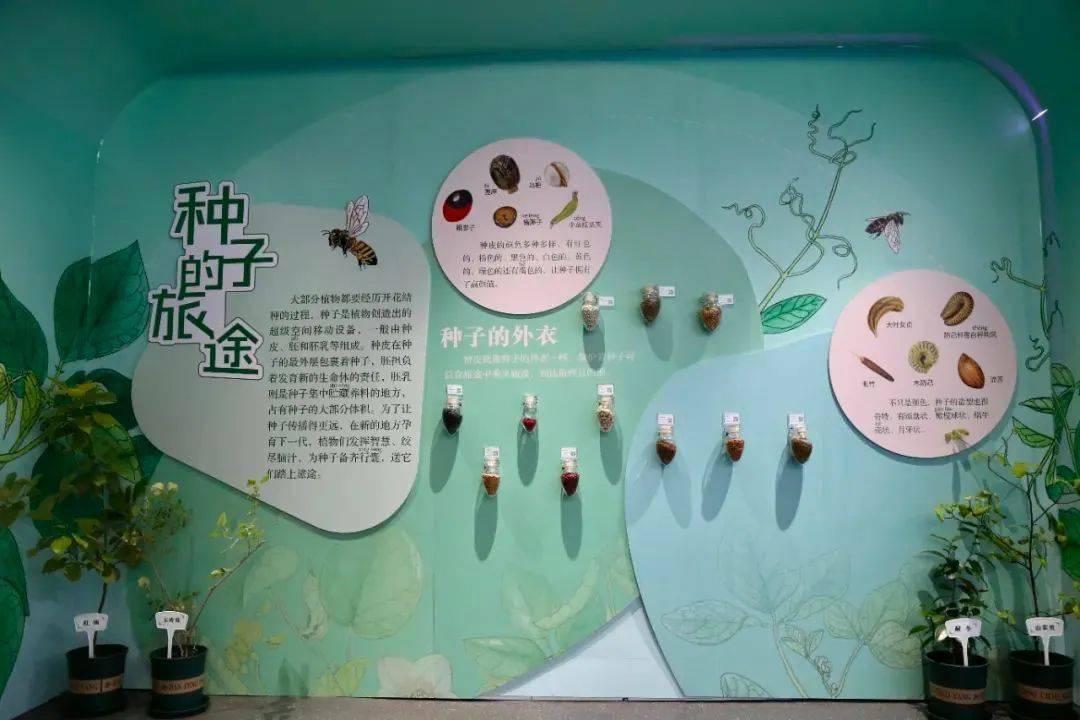 {"粒程"林草种质资源科普展}