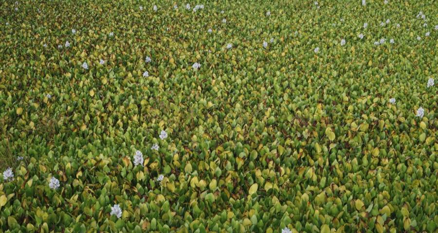 再差的市场也有家电厂商吃饭的空地-家电圈官网