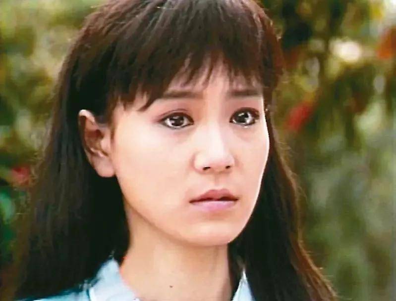 当然观众眼中最熟知刘雪华的还是"琼瑶女郎,她在十年她出演了12部