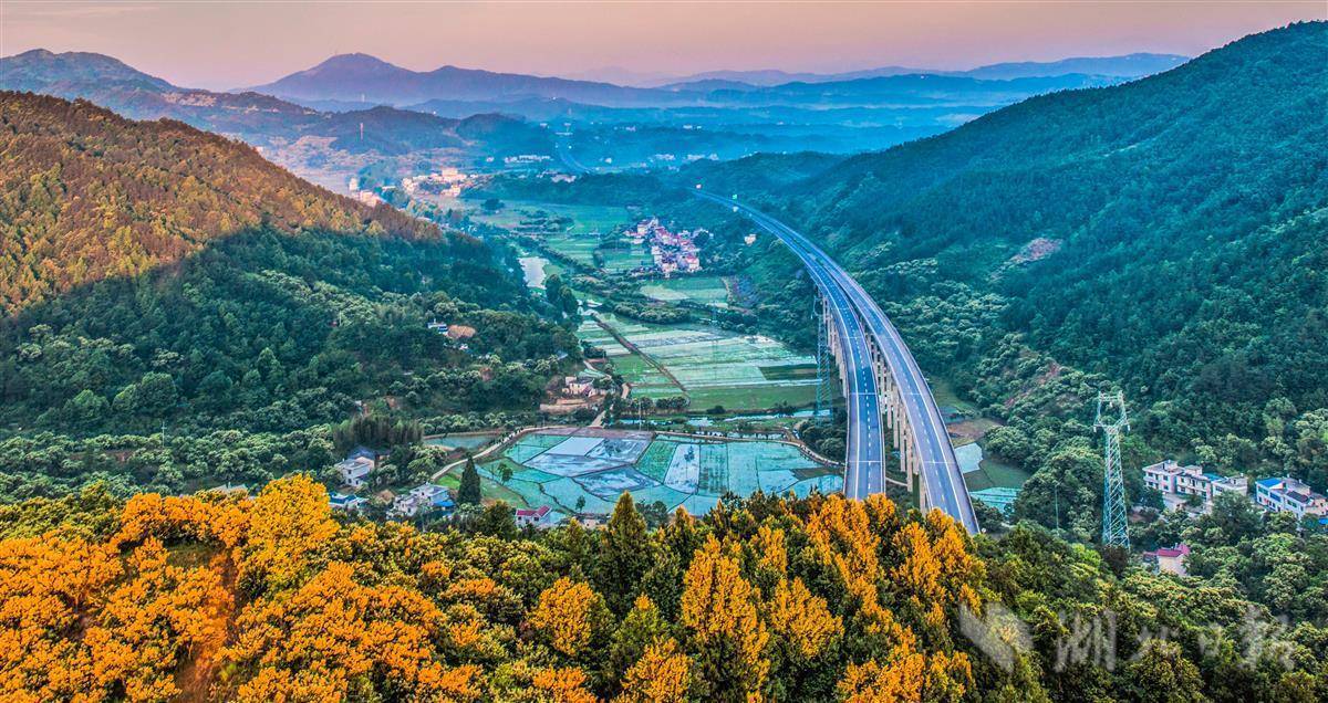 英山县新规划高速公路图片