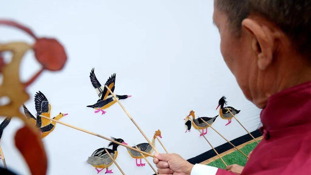 远安传统皮影惊艳亮相桃花岛_湿地_国家_保护