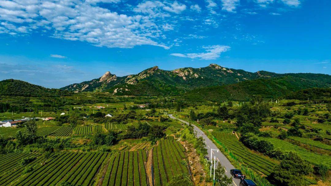 美德健康生活 | 岚山区巨峰镇:铺就乡村振兴"快车道"_进行_道路_养护