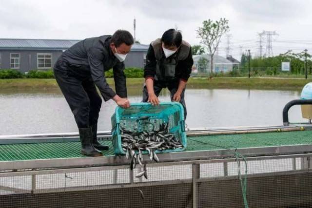 上海首个“两山”基地：做好“水”上文章 绘就乡村振兴画卷