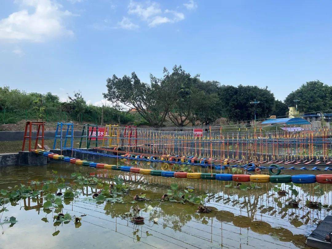 【番禺欢乐森林】全新溜娃圣地!79元起抢购1大1小通票,几十项无动力项