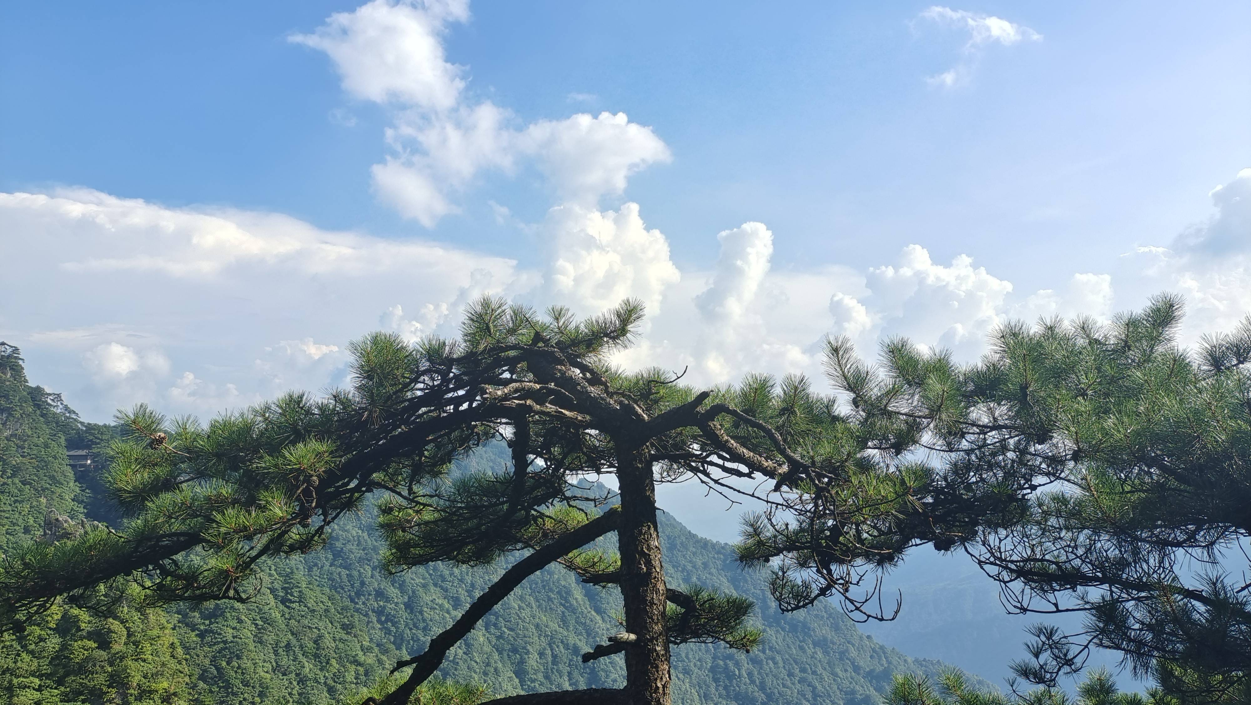 羊獅慕景區位於安福武功山風景名勝區東北部,景區總面積37.5平方公里.