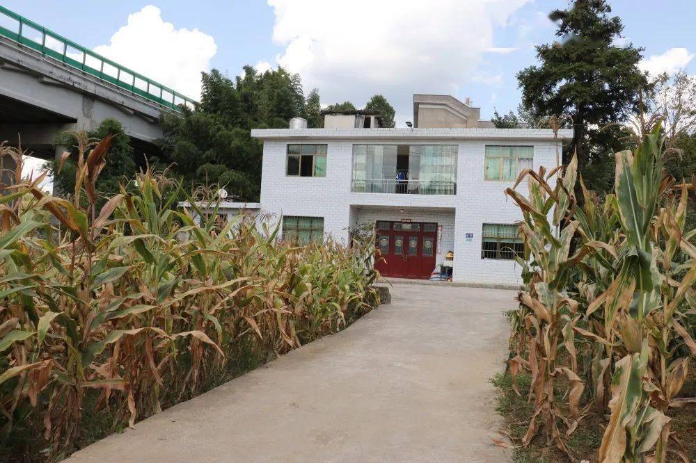 开阳冯三镇:人居环境焕新颜 一村一落皆美景_整治_群众_工作