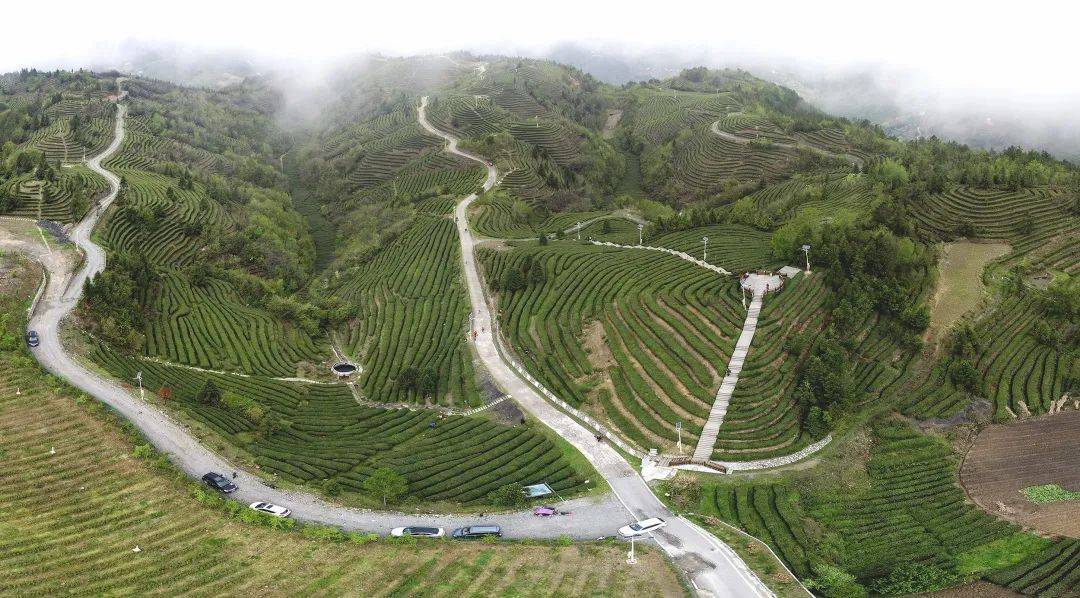 金果坪乡 来自搜狐网