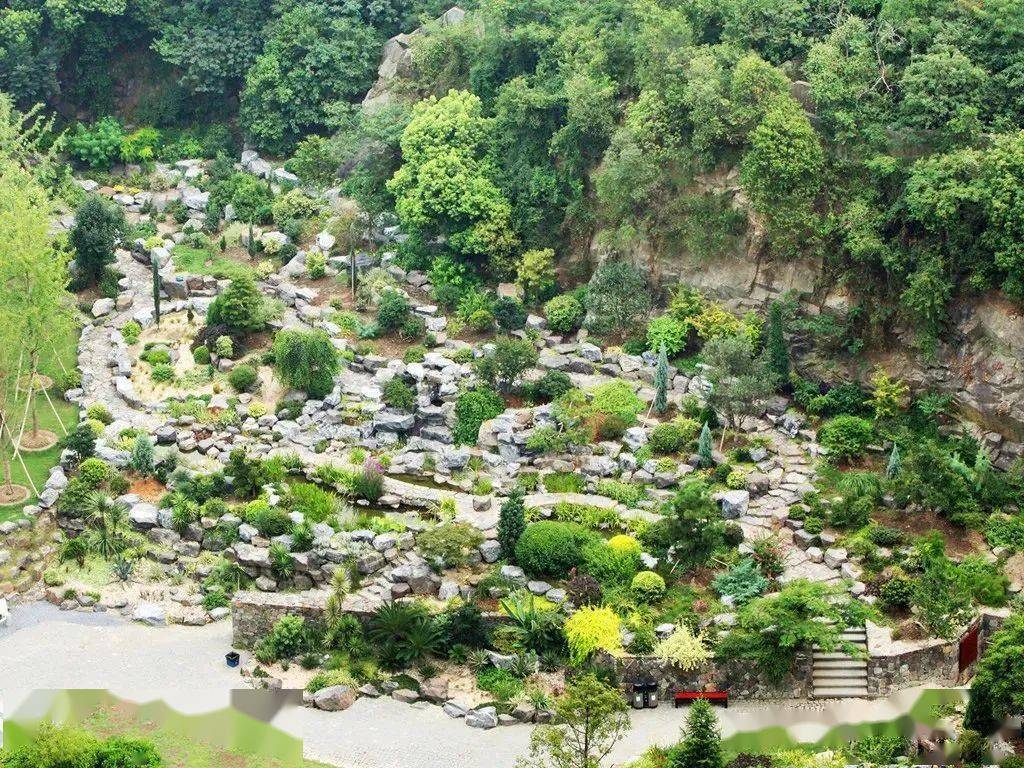 岩石園 | 一石一花一世界_植物_景觀_種植