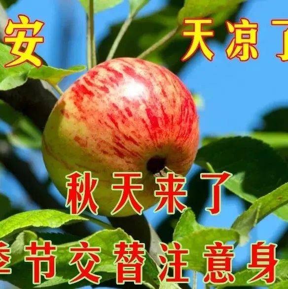 8月30日最新早上好祝福动态表情图片大全，秋天早安问候语句子！ 生活 梦中 人生