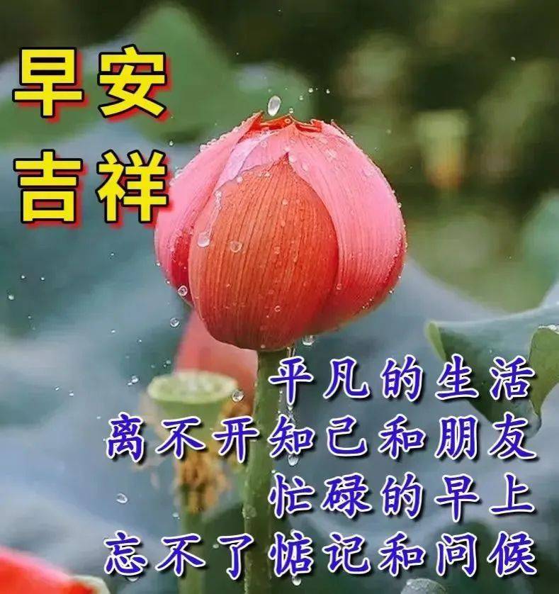 8月30日最新创意好看的早上好祝福图片 2022唯美秋天早安问候祝福图片