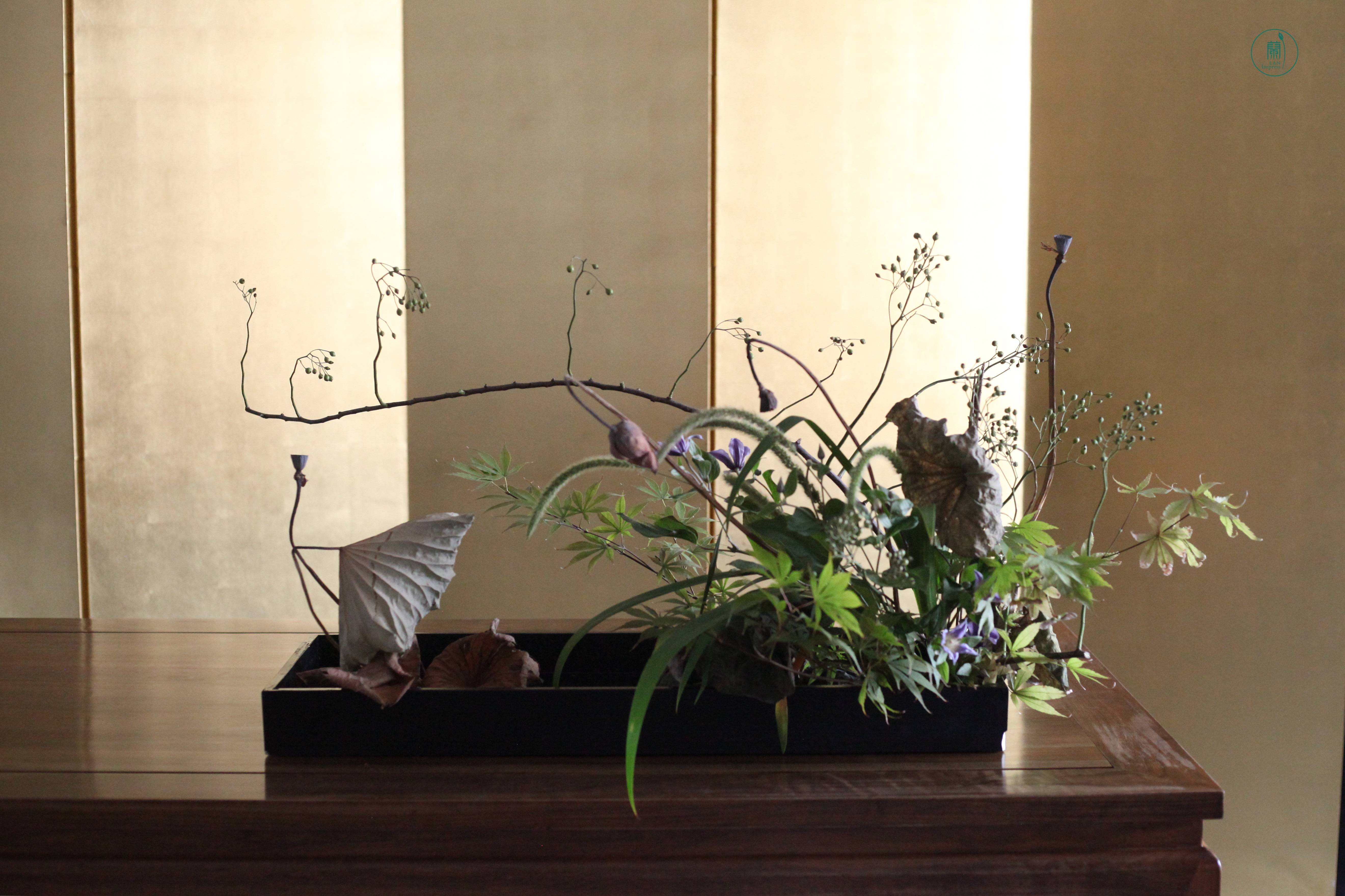 留得枯荷听雨|颓与新意境插花#蘭印象花道专题研修——秋之枯荷 留得枯荷听雨|颓与新意境插花#蘭印象花道专题研修——秋之枯荷