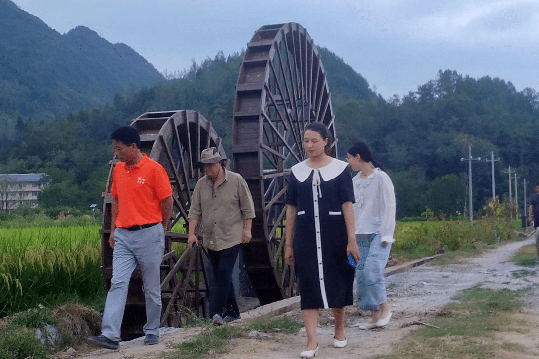 清廉桑植进行时 | 清廉建设怎么干?