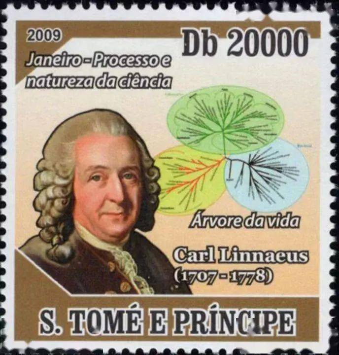 邮说医学史87:才华横溢的博物学家——林奈_动植物_瑞典_系统分类