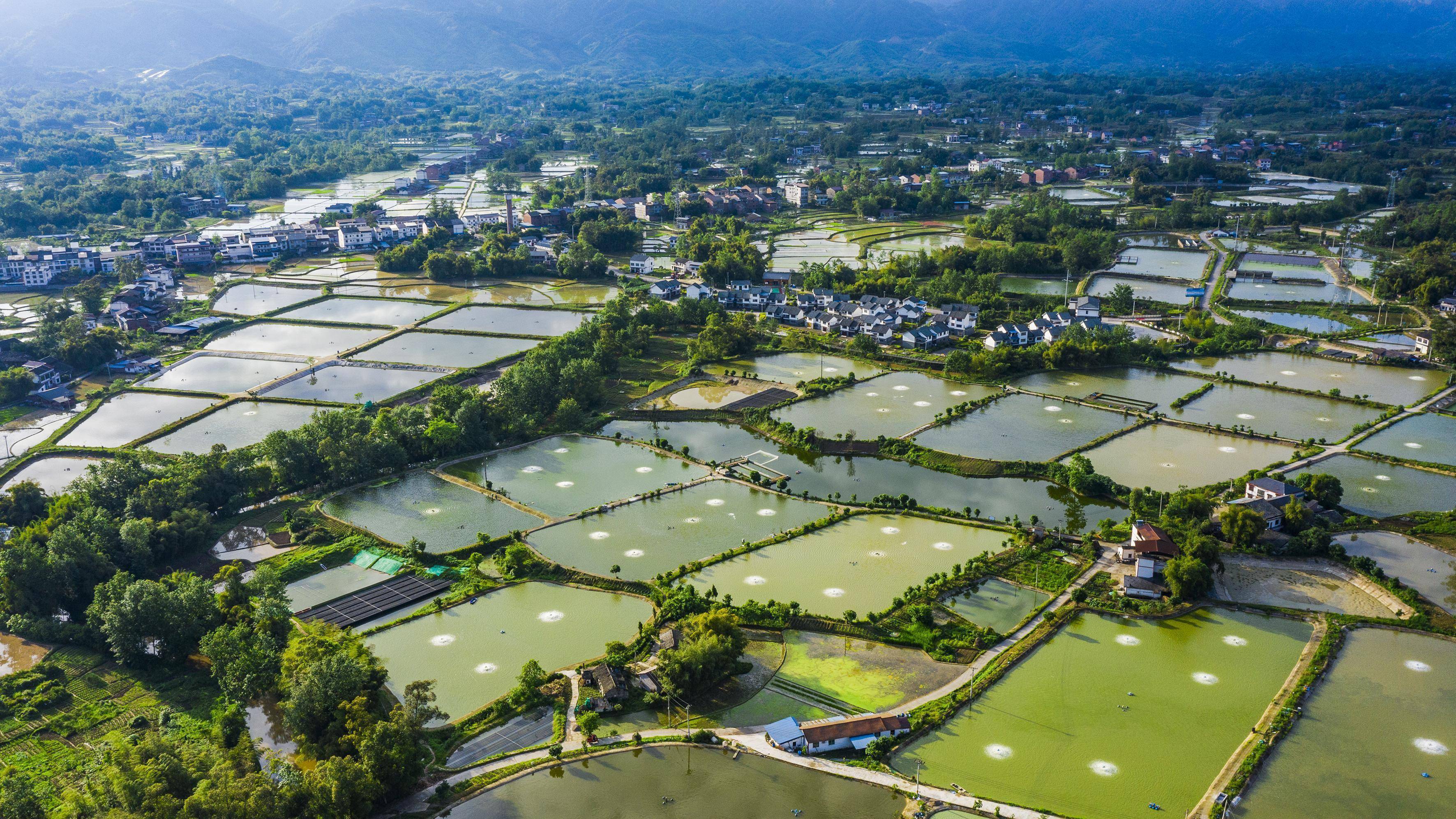 梁平新增兩個市級鄉村旅遊重點村_蟠龍鎮_重慶市_川西