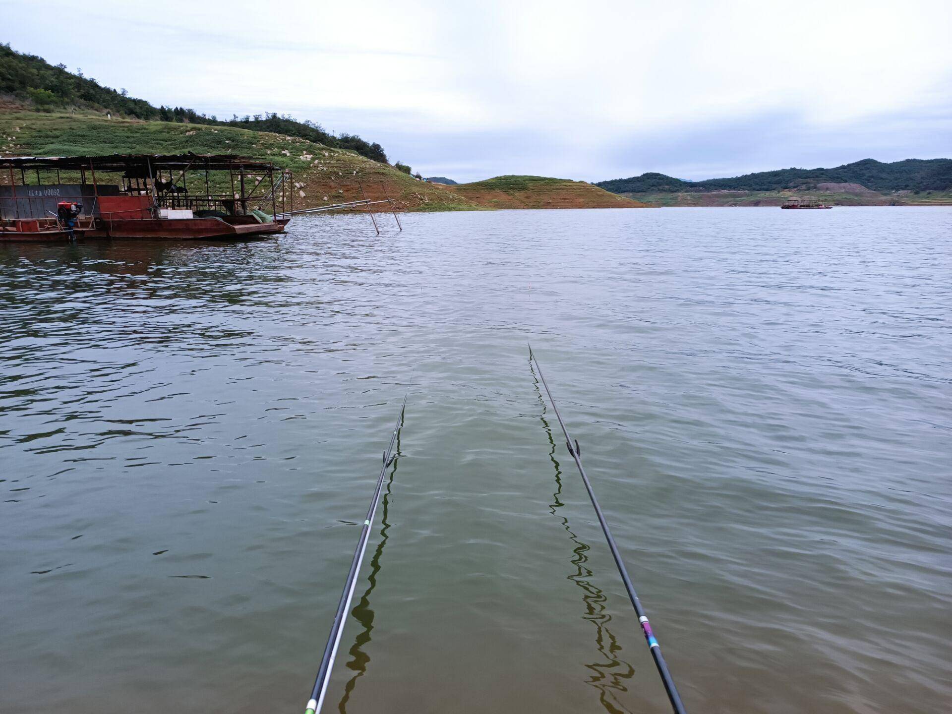 黄河小浪底钓鱼,不惧连绵阴雨,坚守一天钓获2条大鲤鱼