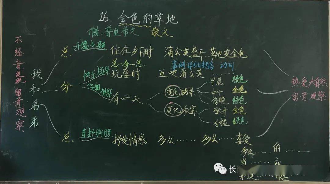 课文16《金色的草地》课文15《搭船的鸟》第五单元课文14*《小狗学叫