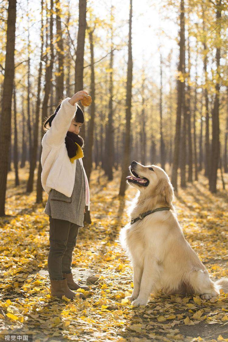 人和动物,是朋友也是家人.