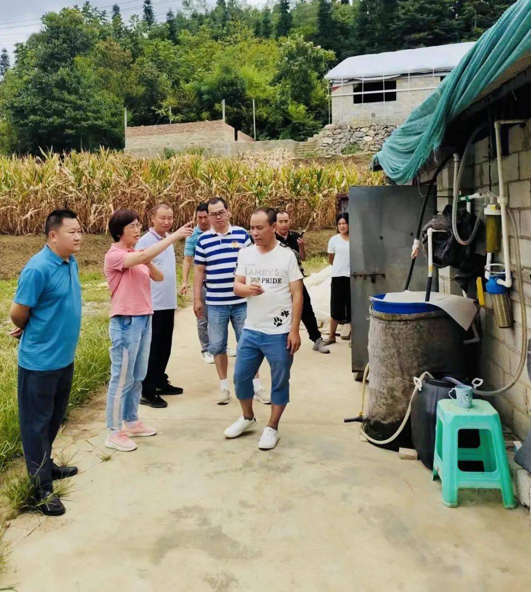 贵阳贵安抗旱稳粮保丰收成效显著