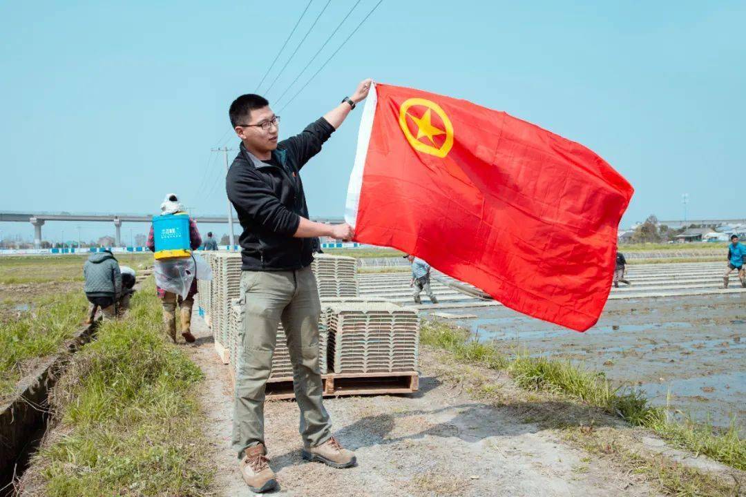 90后小伙"圈"了一拨人,红土地上摸金挖宝_汪琰斌_水稻_农业