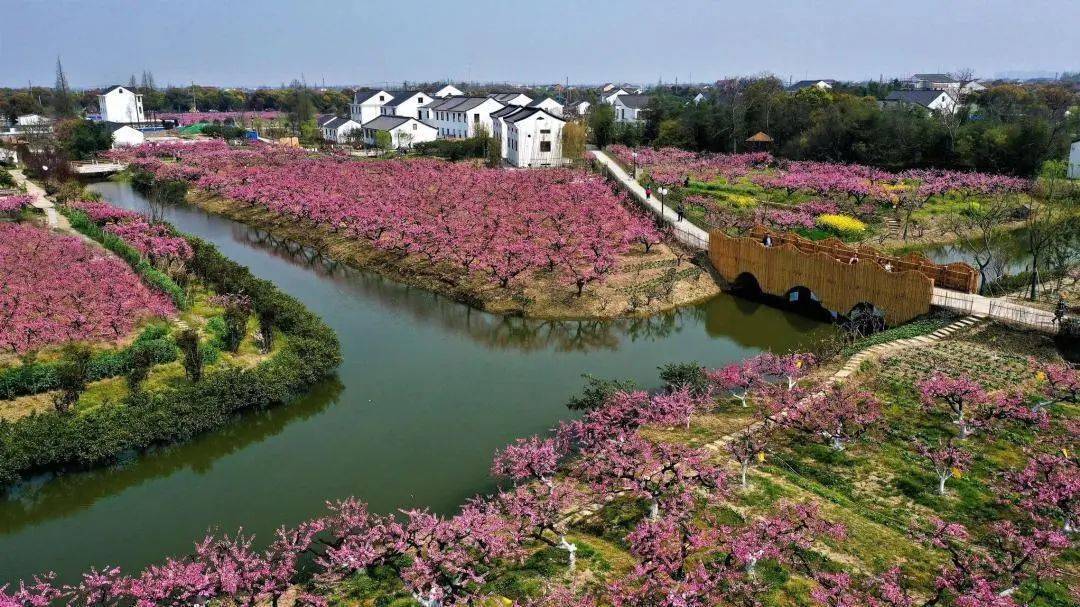 奉賢第五批悠賢好去處,遇見新空間,等你來投票~_南橋鎮_文化_靈芝