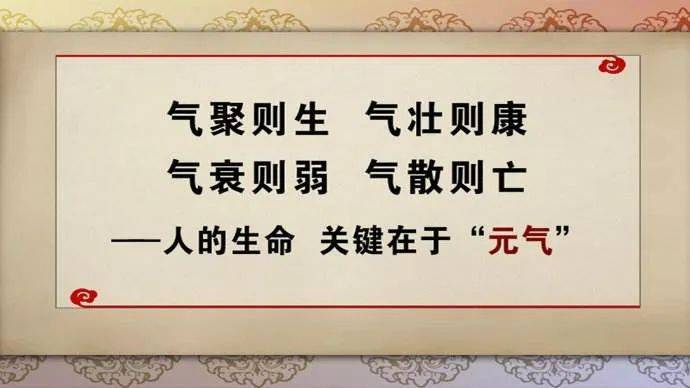 是人体最重要的气,生命之源对五脏六腑起着温煦生化作用元气是人体的