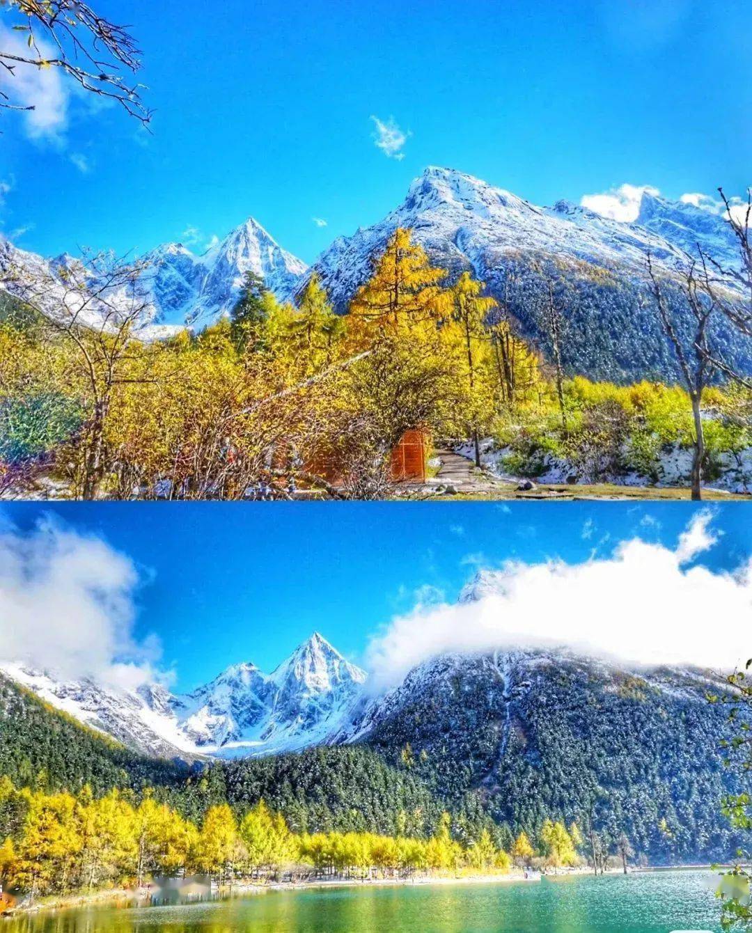 【纯玩,派全陪】纵情毕达·红叶九寨毕棚沟,达古冰川,九寨沟双飞六