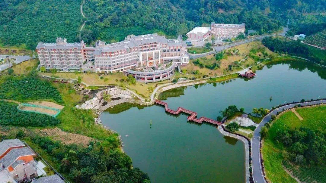 399 住进【云顶贵族·新兴象窝山】品鉴五星双自助美食~打卡万亩茶