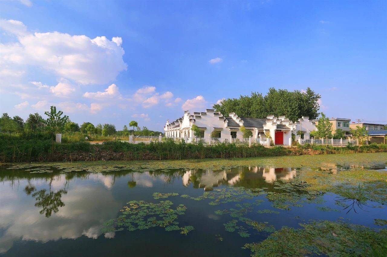 塘南镇_城市_江心洲