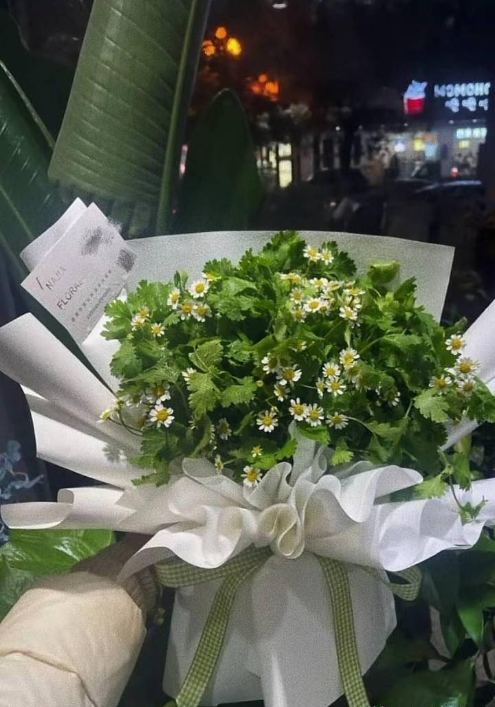 香菜味蜂蜜即将全球发行?