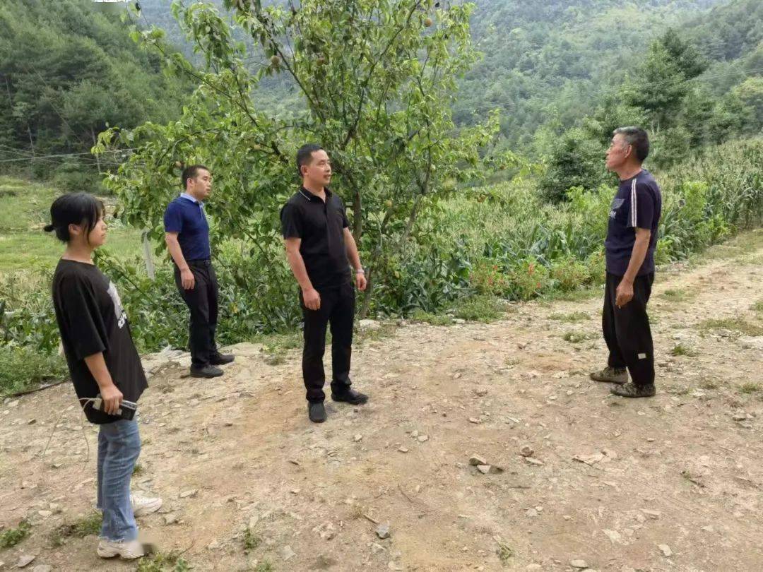 巫山乡镇(街道)"一把手"一周在忙啥96