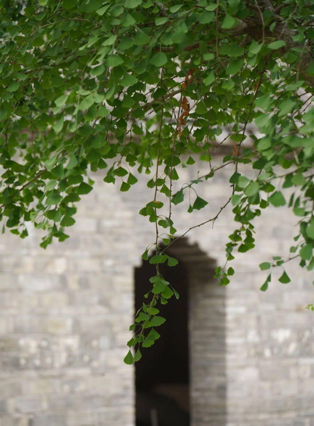 穆沟古村,为了远眺的回眸_生活_村落_文化