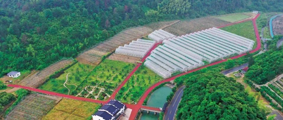 省级示范，桐庐2个园区入选！_农业_融合_发展