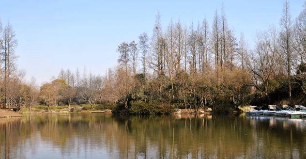 上海较远的森林秘境，拥有三水并流景象，游客称四季出大片