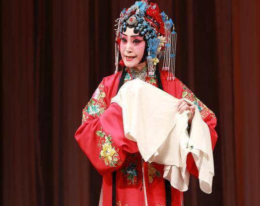 杨春霞:丈夫去世后她在悲痛中坚强,如今儿子成富豪_林鑫涛_京剧_上海