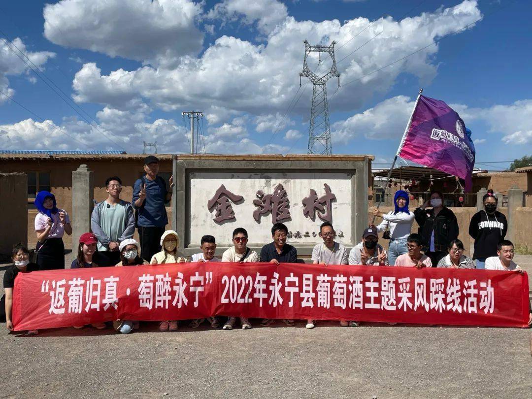 闽宁镇葡萄酒网络营销_闽宁镇的葡萄酒是什么牌子