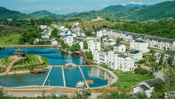 丰都:描绘城乡融合发展新画卷_董家镇_乡村_村民