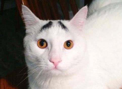 性格_男人_柳叶弯