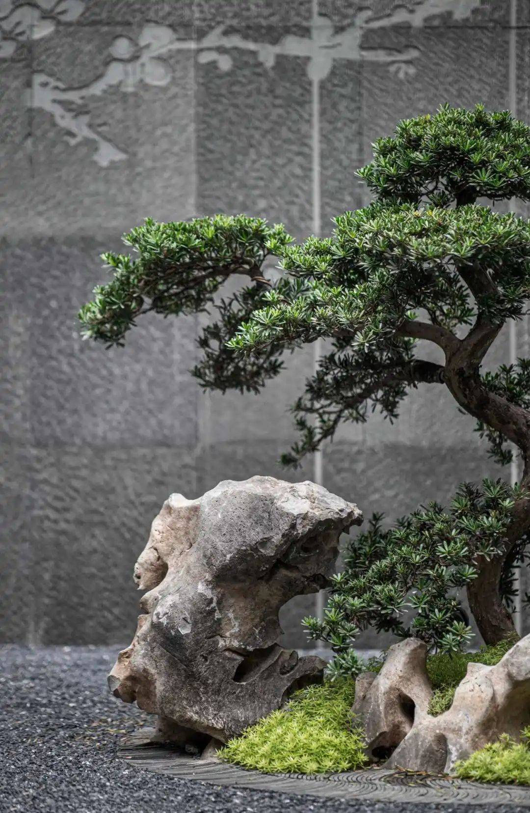石景,置石相关景观案例分享
