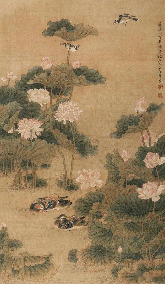 【名品视界】清代 沈铨 花鸟画作品欣赏_名家_艺术界_鉴定