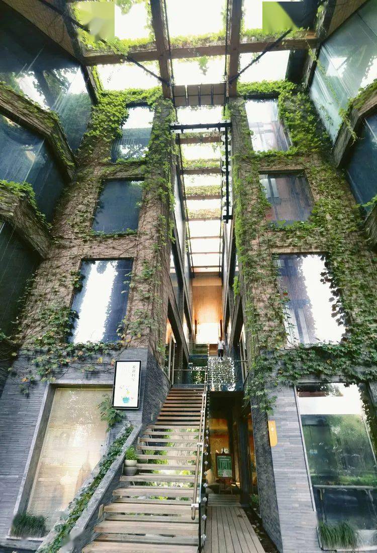 【无晴听风】世界最美丽的家--隐于温州市区的绿野仙踪_朱小杰_瓯菜