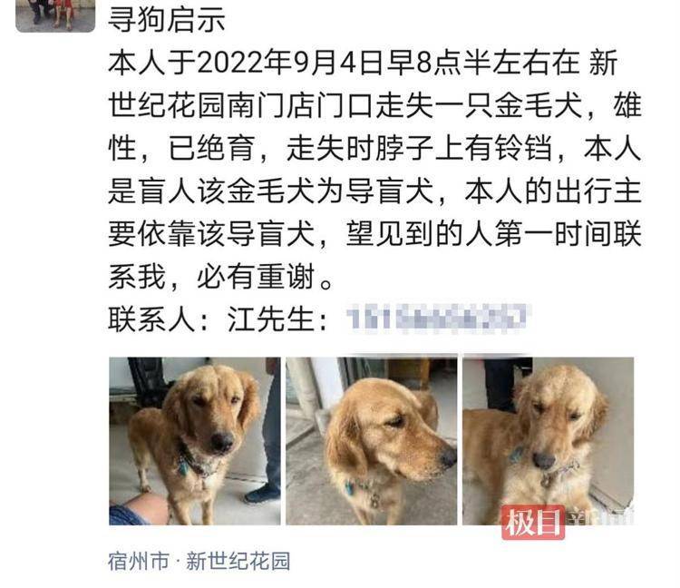 申请了3年才领到的导盲犬被顺走 导盲犬多斯特找到了吗？