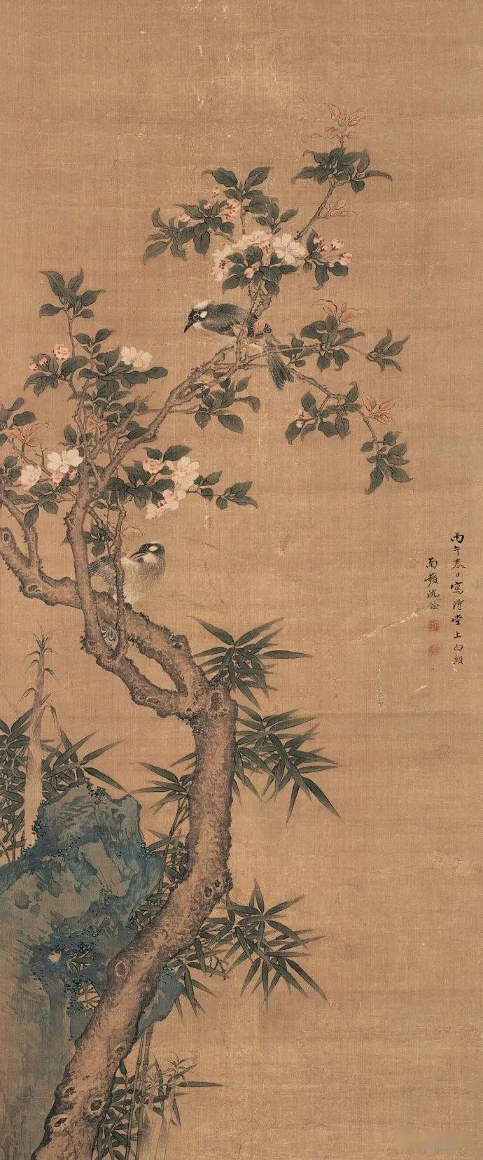 【名品视界】清代 沈铨 花鸟画作品欣赏_名家_艺术界_鉴定