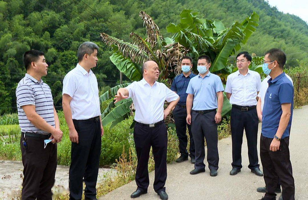 邓小强率队先后到内莞镇横水村乌泥坑经济社,蓝州村余屋经济社,塘兴村