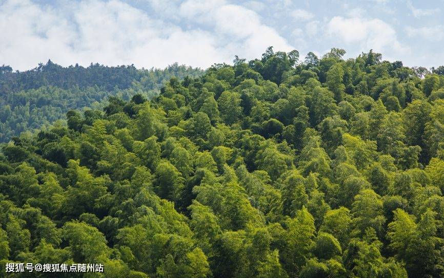 2022湖州【安吉悠隐南山】强势来袭!安吉山景湖景别墅,千万别错过了!