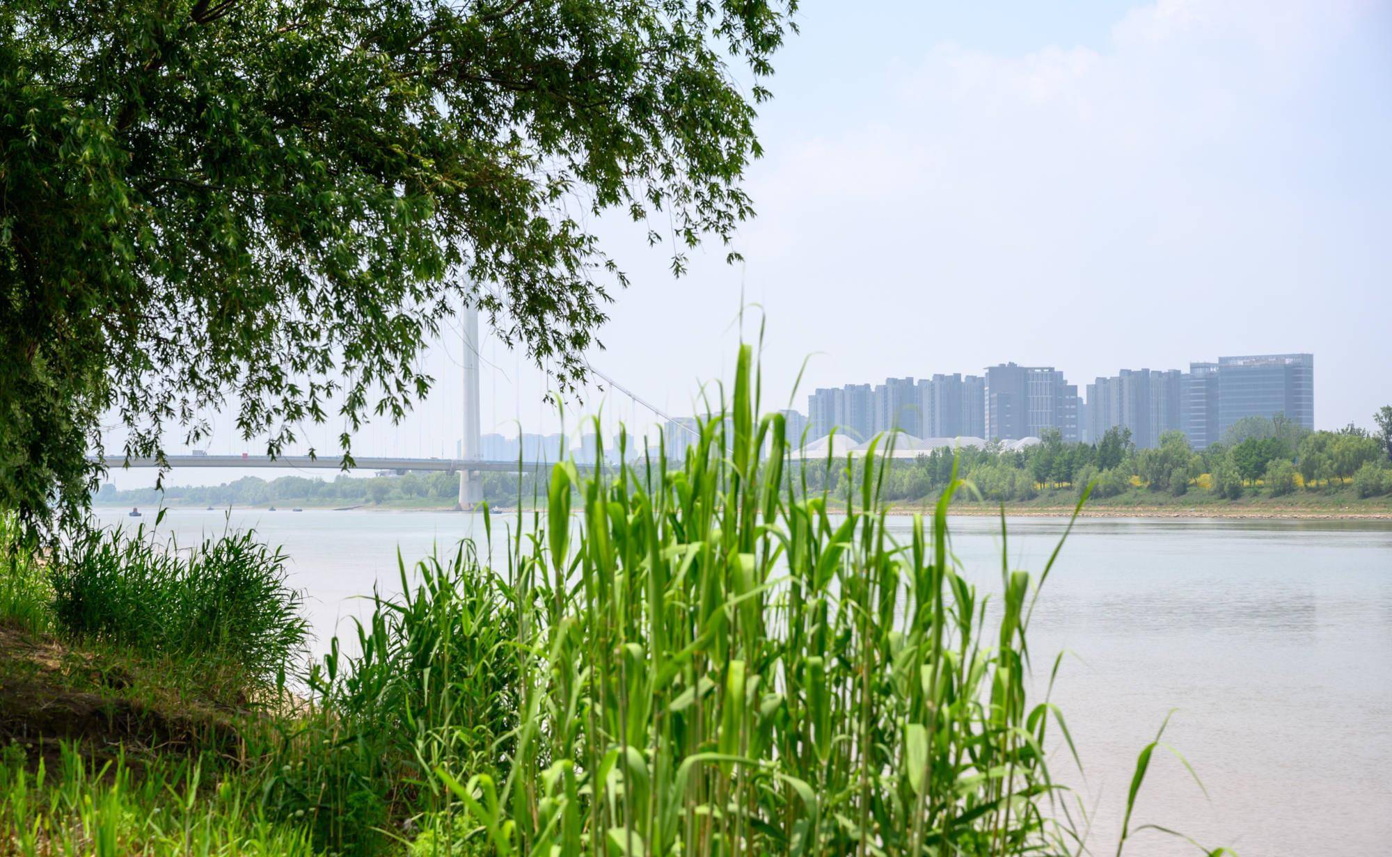 南京滨江万景园，曾经存在争议，如今免费开放却几乎没有游客