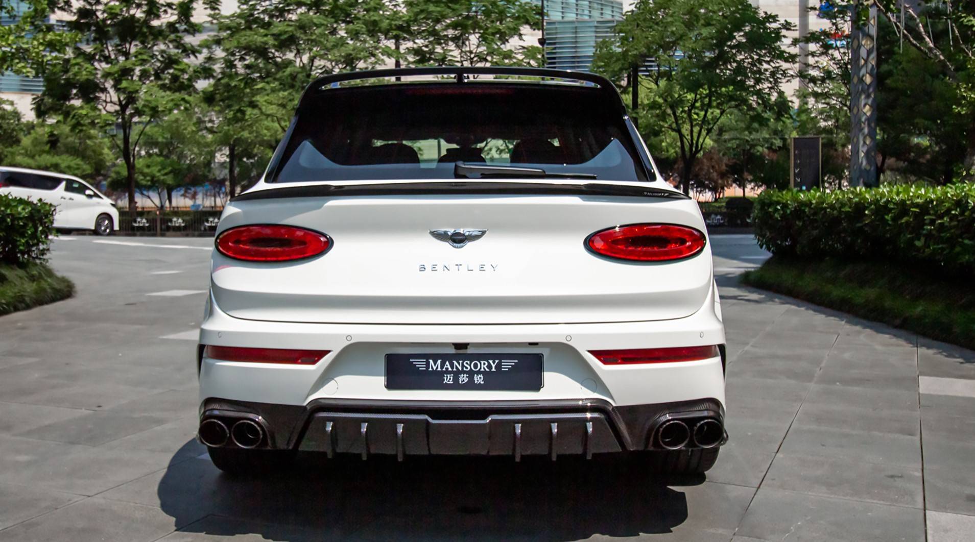 迈莎锐添越中国首发,熊猫配色搭配超跑套件_mansory_材料_台添