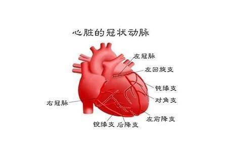 七旬老人心脏三条大血管全部堵塞!