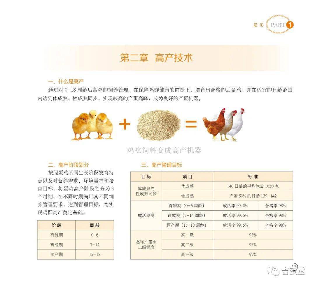 京红蛋鸡产蛋性能表图片